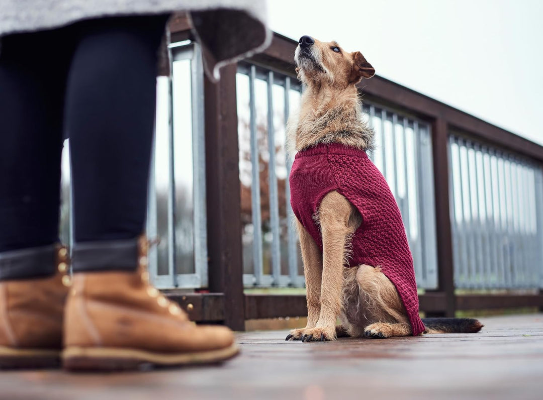 HUNTER Hundepullover MALMÖ,50, bordeaux bordeaux 50, bordeaux 50