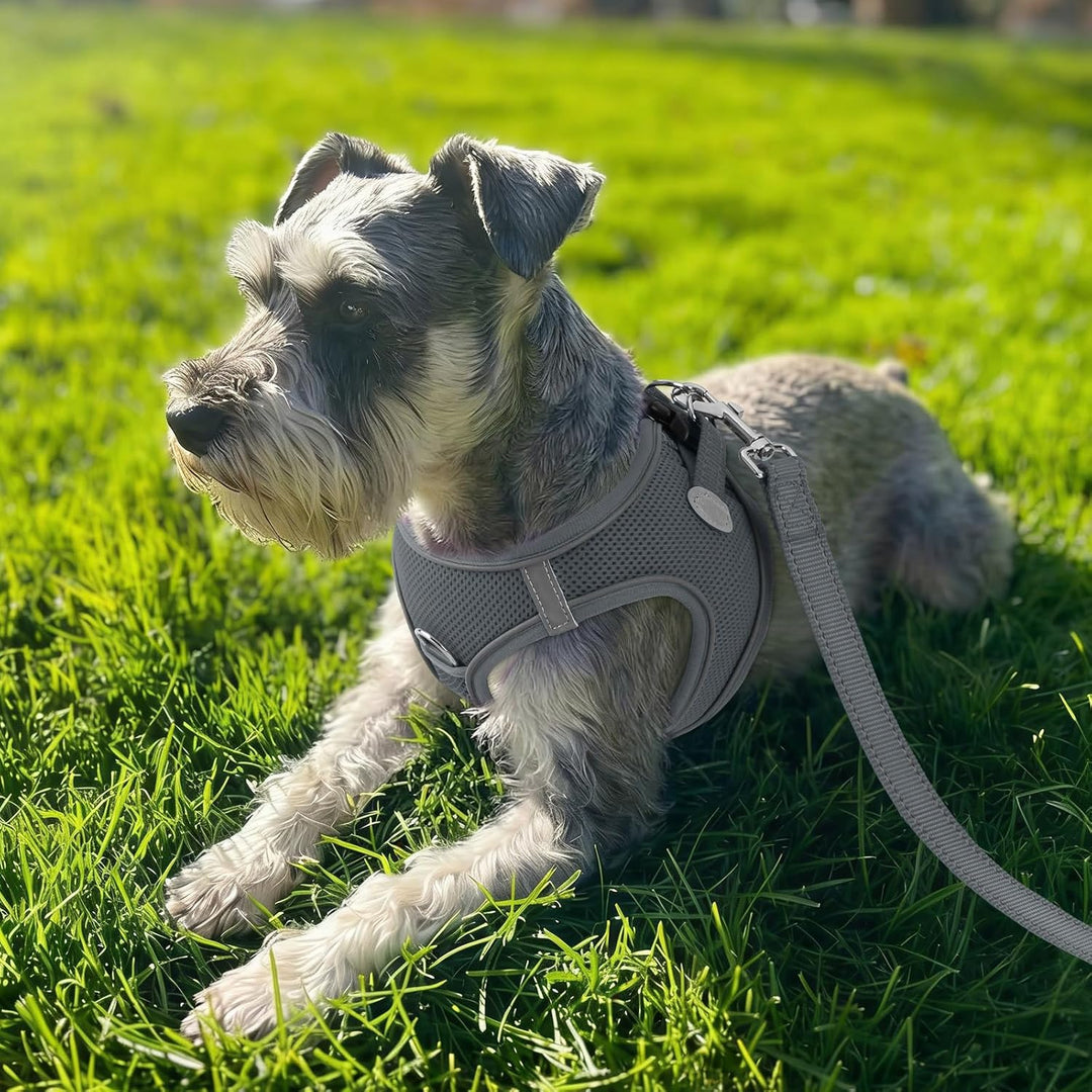 Joytale Hundegeschirr, Reflektierend Weich Gepolstert Hunde Geschirr, Air-Mesh Atmungsaktiv Brustges