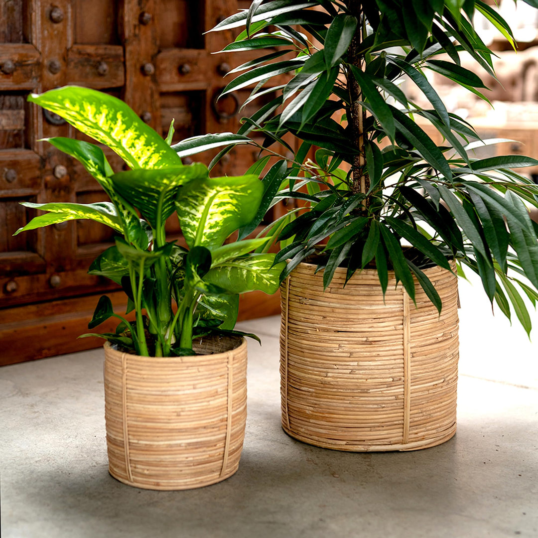 DARO DEKO Rattan Korb Topf Ø 31 x 31cm rund Blumentopf geflochten Aufbewahrungskorb Übertopf Blumenk