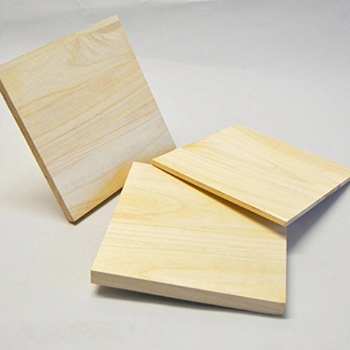 PHOENIX 10er Pack Einweg Bruchtestbretter 30x30x2.5cm