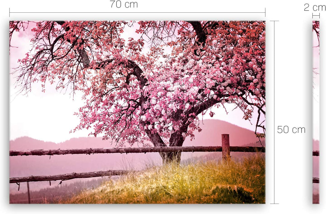 ge Bildet Bild auf Leinwand | Frühlingsbaum - Natur Baum Rosa Pink A in 70x50 cm als Wandbild | Wand