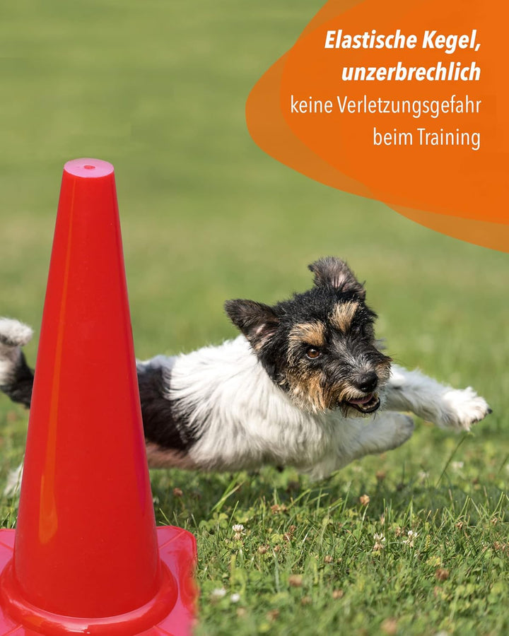Soft-Kegel 45 cm – Soft-Pylone – Markierkegel – 4 im Set – Fussball, Hundetraining, Kitas & Pferdetr