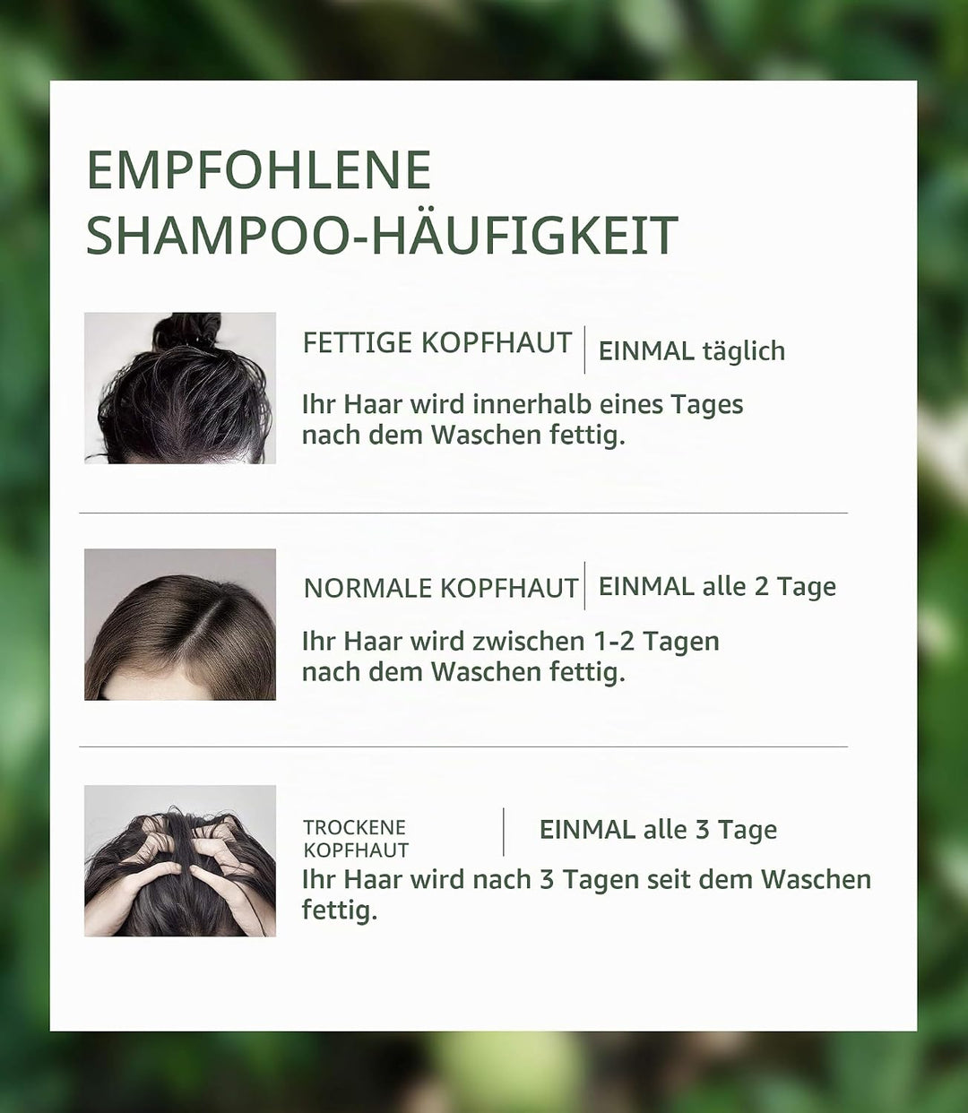 AROMASE Anti-Oil Essential Shampoo - Effektiv bei schnell fettendem Haar &amp; fettiger Kopfhaut, reguli