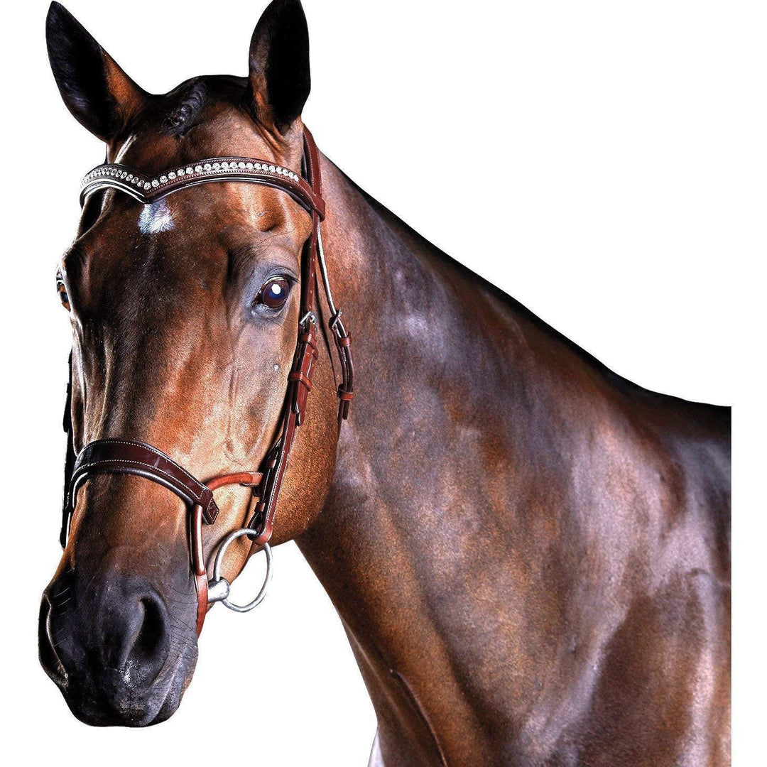 Collegiate ComFiTec Patent Snaffle Bridle Cob, Cob