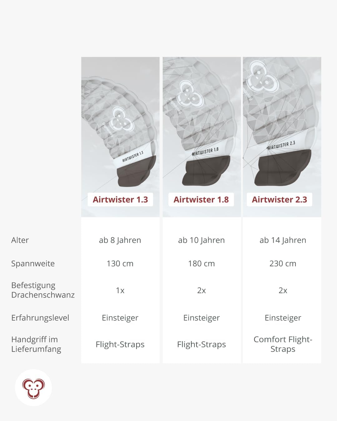 Skymonkey Airtwister Lenkmatte inkl. Packsack & Flugschlaufen - Lenkdrachen bereits fertig angeleint