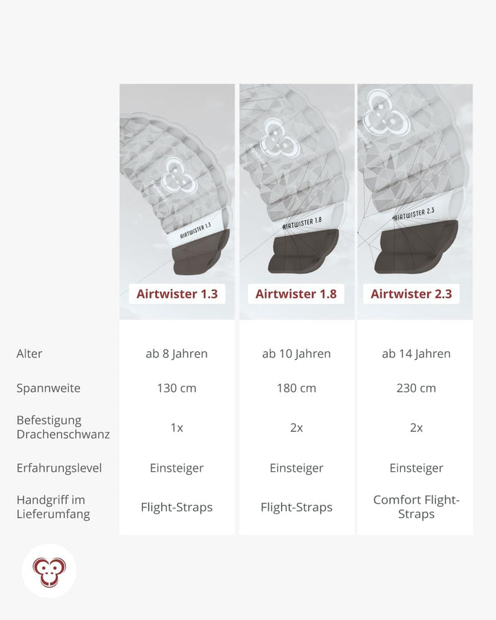 Skymonkey Airtwister Lenkmatte inkl. Packsack & Flugschlaufen - Lenkdrachen bereits fertig angeleint