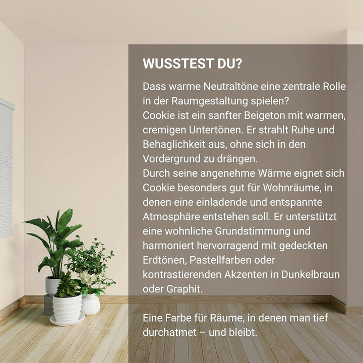 Preismaxx Profiweiss Wandfarbe beige 2,5L, hohe Deckkraft, Dispersionsfarbe innen, Innenwandfarbe Ra