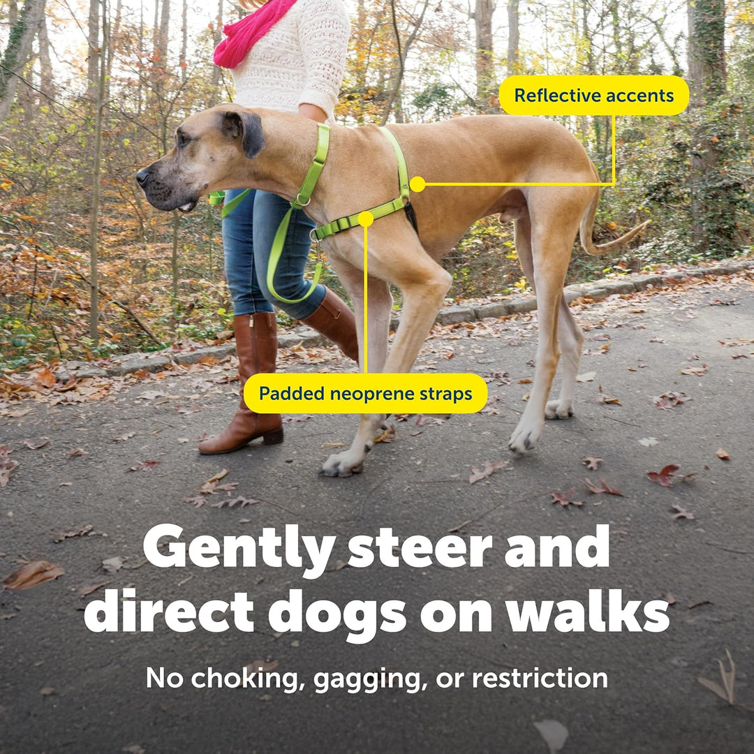 PetSafe Deluxe Easy Walk Hundegeschirr Apfel/Schwarz Large, Apfel/Schwarz Large