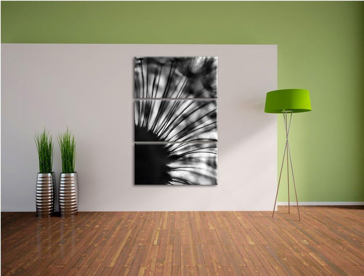 Pixxprint Pusteblume Schwarz-Weiss als Leinwandbild/Grösse: 3 Teilig (120x80) cm/Wandbild/Kunstdruck