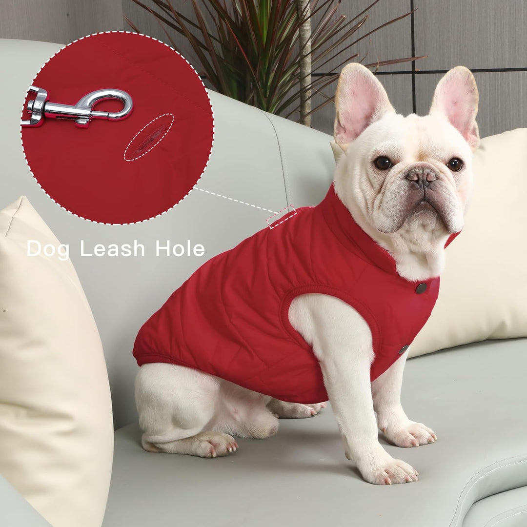 Mit Fleece gefütterte Hundejacke mit 2 Schichten von JoyDaog, sehr warm für den Winter und kaltes We