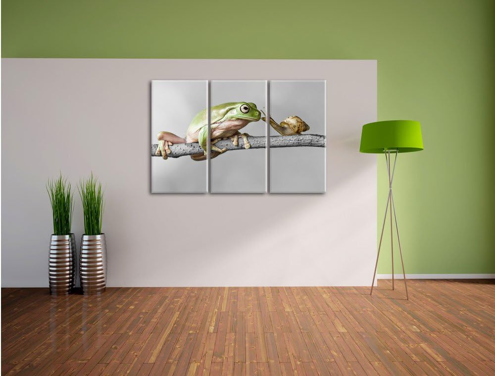 Pixxprint der Frosch und die Schnecke B&W Detail 3-Teiler Leinwandbild 120x80 Bild auf Leinwand