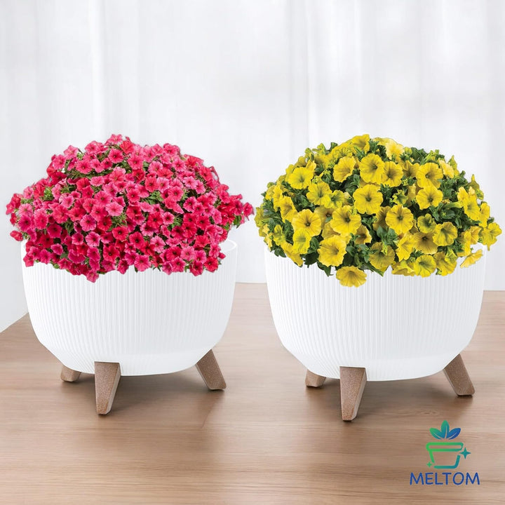 MELTOM Blumentopf Schale mit Füssen Einsatz Kräutertopf Übertopf Pflanzschale Eco Recycled (Weiss, M