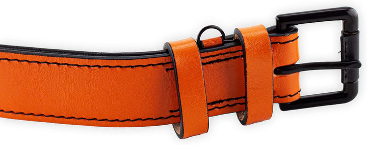 Brute Strength Hundehalsband aus Leder - Orange - XL - 56-63 cm XL - 56-63 cm Orange, XL - 56-63 cm
