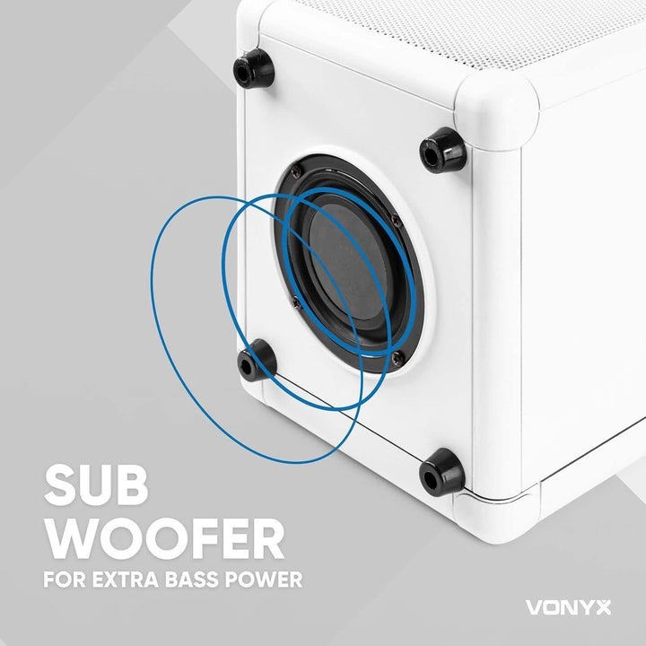Vonyx SBS50W Karaoke Maschine Kinder – Tragbare Karaoke Anlage mit Akku, inkl. Mikrofon &amp; LED-Lichte