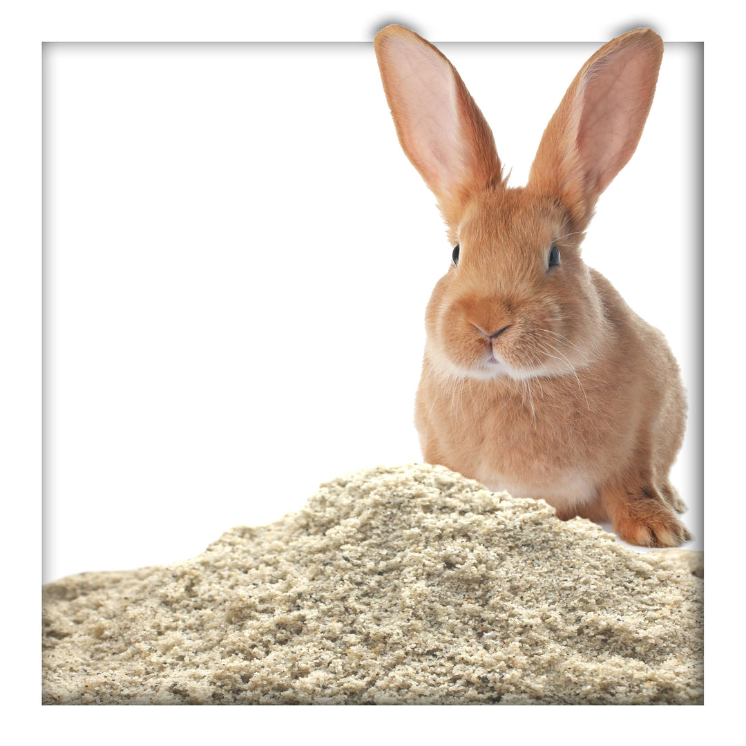 25 kg Buddelsand 0-1 mm für Kaninchen &amp; Hasen, kantengerundet, lehmfrei, frei von Verunreinigungen &amp;