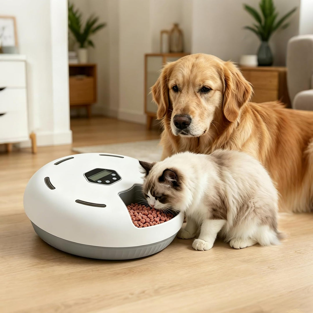 Futterautomat Katze Nassfutter mit Kühlung 6 Mahlzeiten Programmierbar,Kabelloser Nassfutterautomat