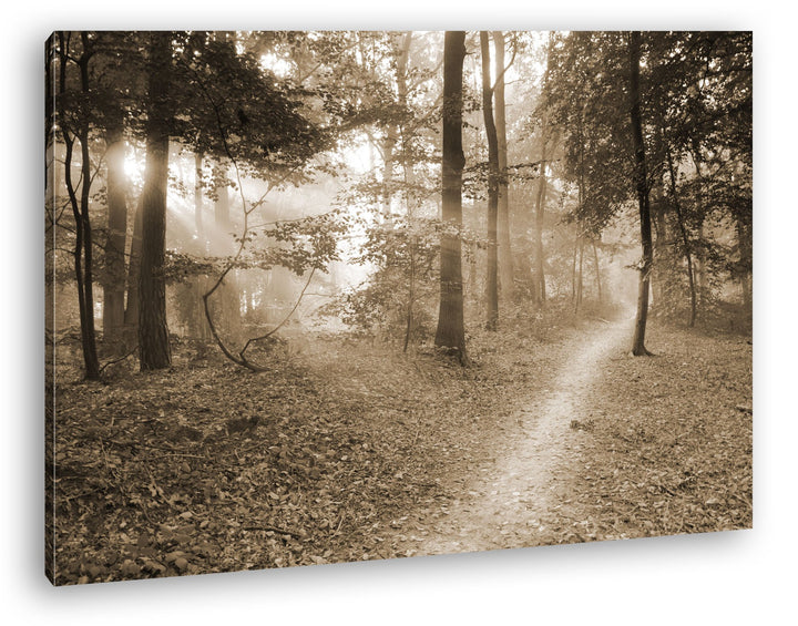 deyoli ruhiger Waldweg Format: 100x70 Effekt: Sepia als Leinwandbild, Motiv fertig gerahmt auf Echth