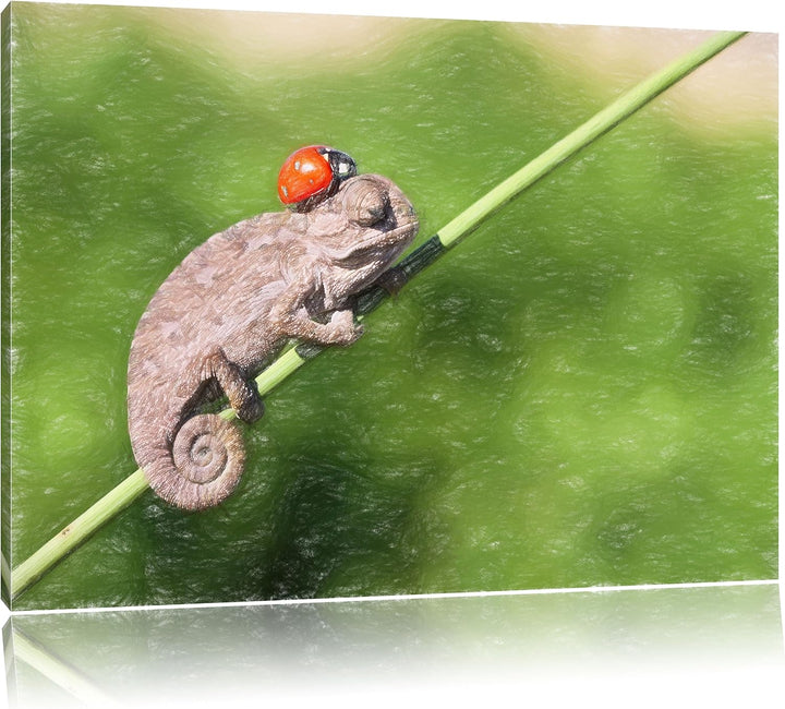 Pixxprint Süsser Gecko mit einem Marienkäfer als Leinwandbild/Grösse: 100x70 / Wandbild/Kunstdruck/f