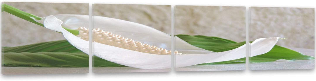 Feeby. Leinwandbild, Bilder, Wand Bild - 4 Teile - Panoramabild, Wandbilder, Kunstdruck 200x50 cm, A