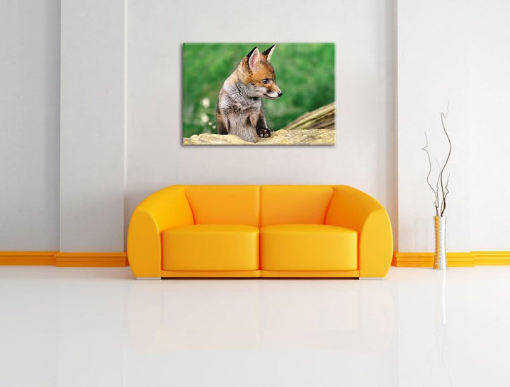 Pixxprint junger Fuchs auf Leinwand, XXL riesige Bilder fertig gerahmt mit Keilrahmen, Kunstdruck au