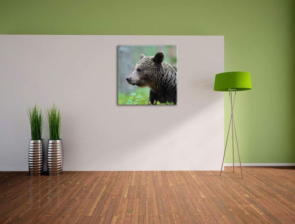 Pixxprint Kleiner Bär, Format: 70x70 auf Leinwand, XXL riesige Bilder fertig gerahmt mit Keilrahmen,