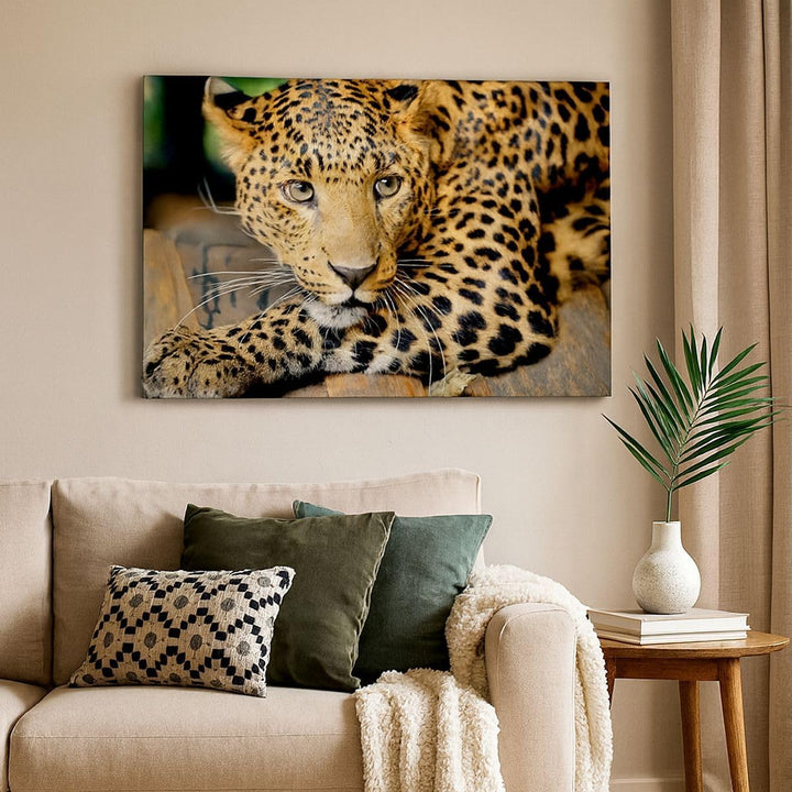 Bilder auf Leinwand Tiere gefährlich wilde katze Leinwandbild 70x50cm Wandbilder Dekoration Wohnzimm