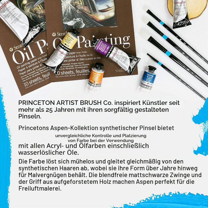Princeton Tec ASPEN, Series P6500, Pro Set mit 4 Pinseln Gr. 4 Set, Gr. 4 Set