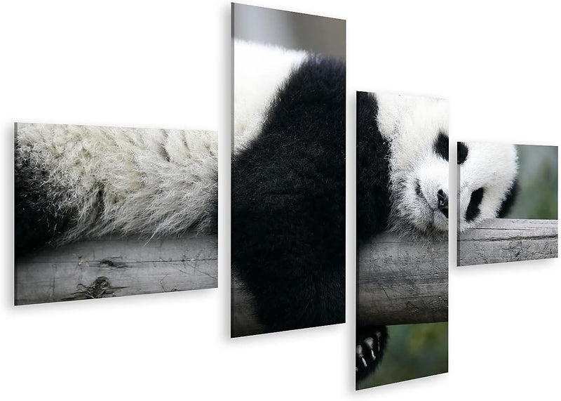 Bild auf Leinwand Panda Bear Wandbild Poster Kunstdruck Bilder Format: 150x80cm - 4 Teile, Format: 1