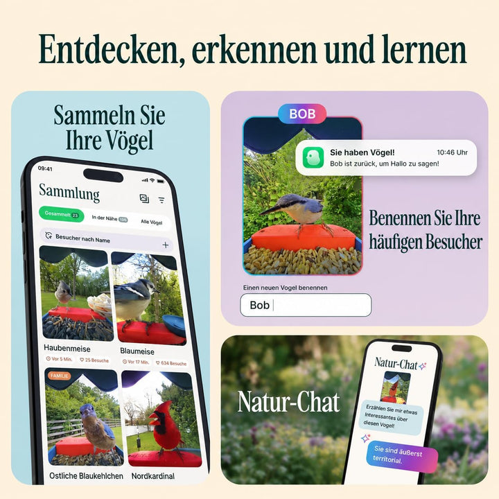 Birdbuddy PRO Solar Smart Bird Feeder mit Kamera – KI-Vogelartenidentifizierung, 5-MP-Fotos, 2K-HD-V