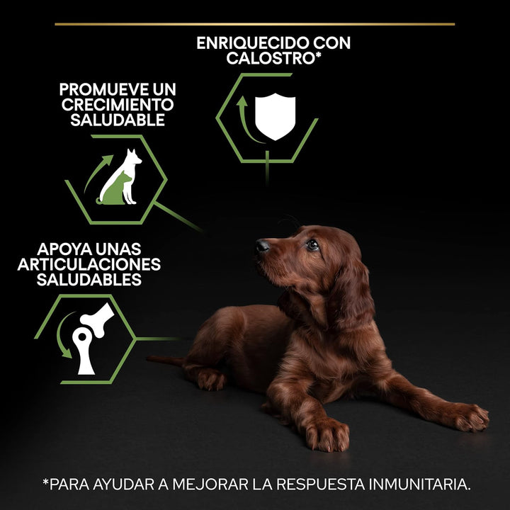 Pro Plan PURINA PRO PLAN Large Athletic Puppy Healthy Start, Welpenfutter trocken, reich an Huhn, 1e