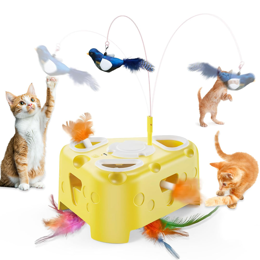 Interaktives Katzenspielzeug Elektrisch Selbstbeschäftigung: Katzen Spielzeug USB Wiederaufladbar Mi
