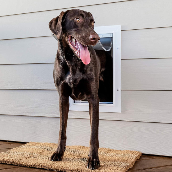 PetSafe Haustiertür für Hunde und Katzen, mit Teleskop-Tunnel, Weiss, gross Weiss L, Weiss L
