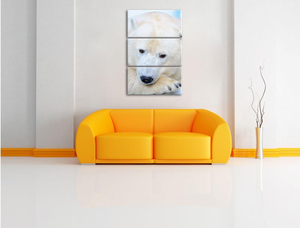 Pixxprint Nachdenklicher Eisbär 3-Teiler Leinwandbild 120x80 Bild auf Leinwand