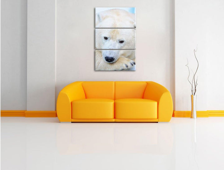 Pixxprint Nachdenklicher Eisbär 3-Teiler Leinwandbild 120x80 Bild auf Leinwand