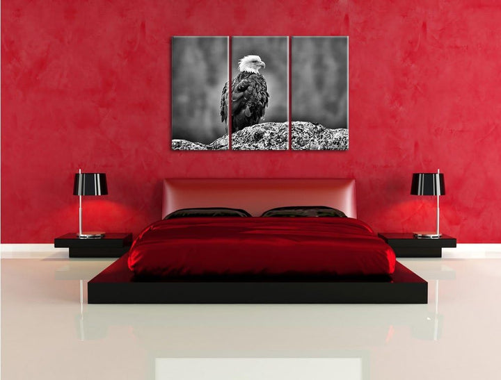Pixxprint wachsamer Adler auf Fels als Leinwandbild/Grösse: 3 Teilig (120x80) / Wandbild/Kunstdruck/
