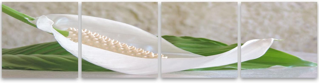 Feeby. Leinwandbild, Bilder, Wand Bild - 4 Teile - Panoramabild, Wandbilder, Kunstdruck 200x50 cm, A