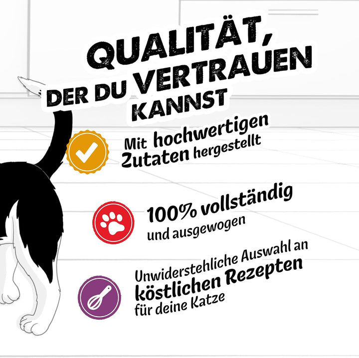 FELIX So gut wie es aussieht Senior Katzenfutter nass in Gelee, Sorten-Mix, 120er Pack (120 x 85g) S