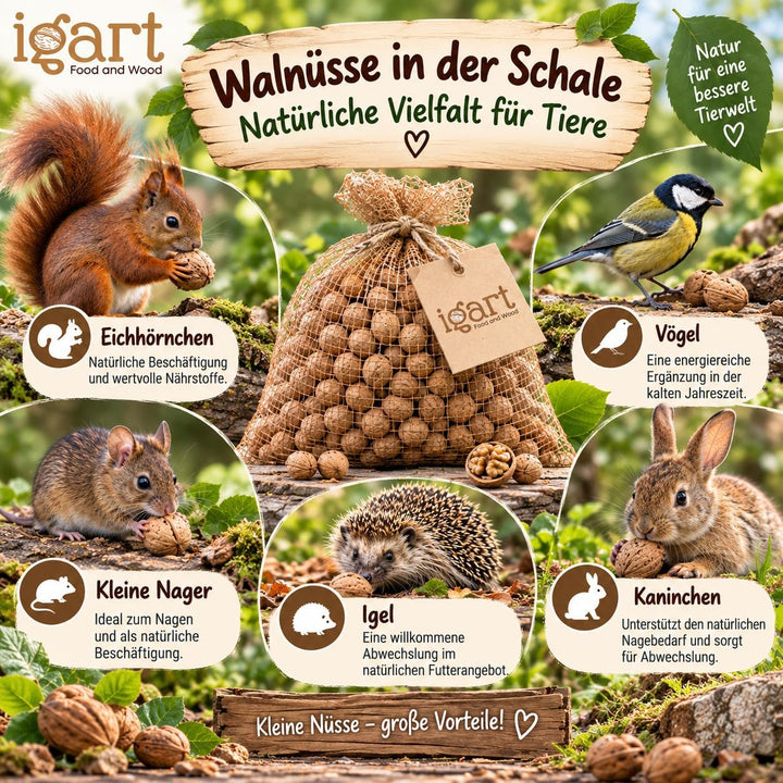 25kg Walnüsse mit Schale 2. Wahl - Eichhörnchenfutter &amp; Tierfutter