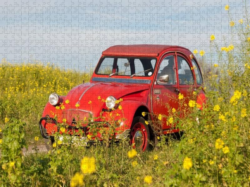 CALVENDO Puzzle Ente im Glebsenf 1000 Teile Lege-Grösse 64 x 48 cm Foto-Puzzle Bild von Meike Bölts,