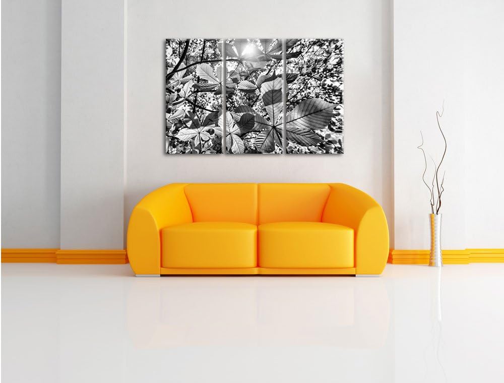 Pixxprint Monocrome, Grüne Blätter 3-Teiler Leinwandbild 120x80 Bild auf Leinwand