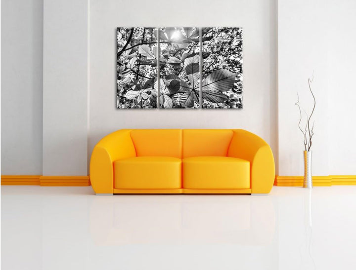 Pixxprint Monocrome, Grüne Blätter 3-Teiler Leinwandbild 120x80 Bild auf Leinwand