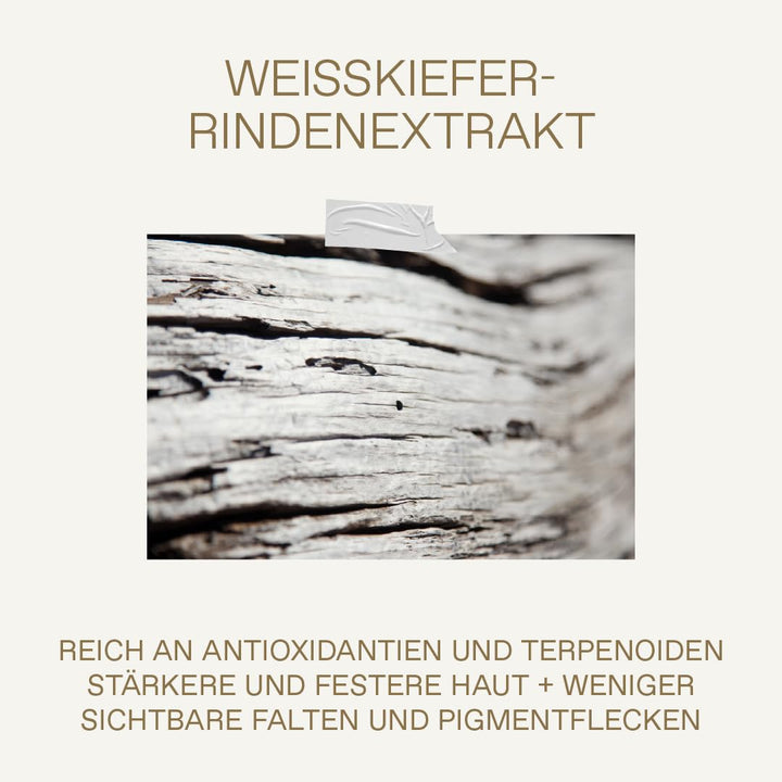 KORRES WHITE PINE Belebende Feuchtigkeitscreme für reife Haut nach den Wechseljahren, für strahlende