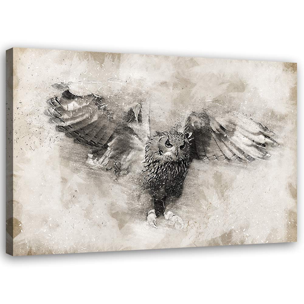 Leinwandbild XXL Eule Wandbild Kunst Vogel Beige 120x80 cm M14234 120x80 cm, M14234 120x80 cm