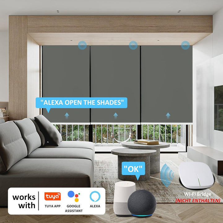 HOMEDEMO Elektrische Rollos Wiederaufladbare Verdunklungsrollo mit Motor & Fernbedienung, Dunkelgrau