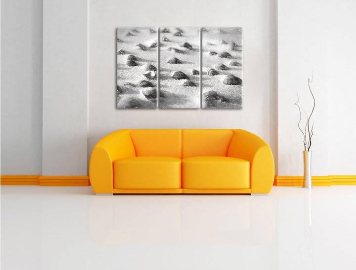 Pixxprint Muscheln im Sand Kunst als Leinwandbild/Grösse: 3 Teilig (120x80) / Wandbild/Kunstdruck/fe
