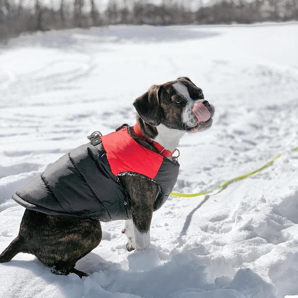 Gooby - Gepolsterte Weste, Hundejacke, Mantel, Pullover mit Reissverschluss und Leinen-Ring, Rot, Gr