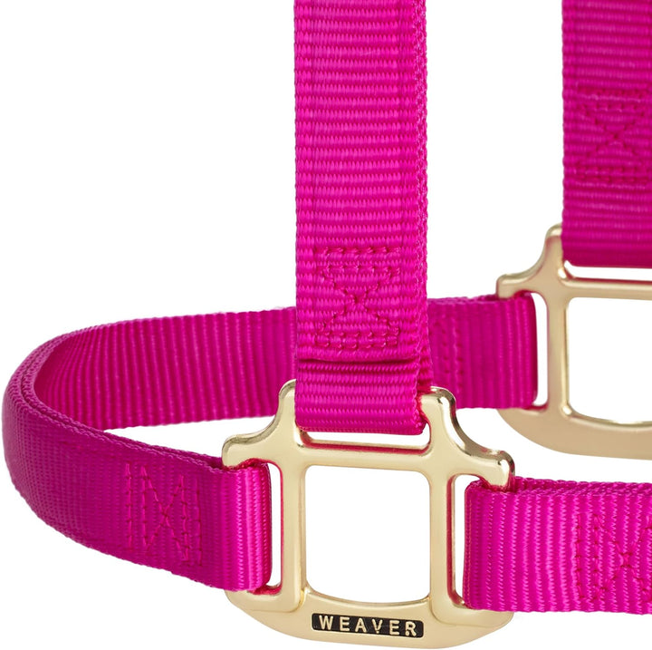 Weaver Leather, nicht verstellbares Halfter Himbeere Average Horse, Himbeere Average Horse