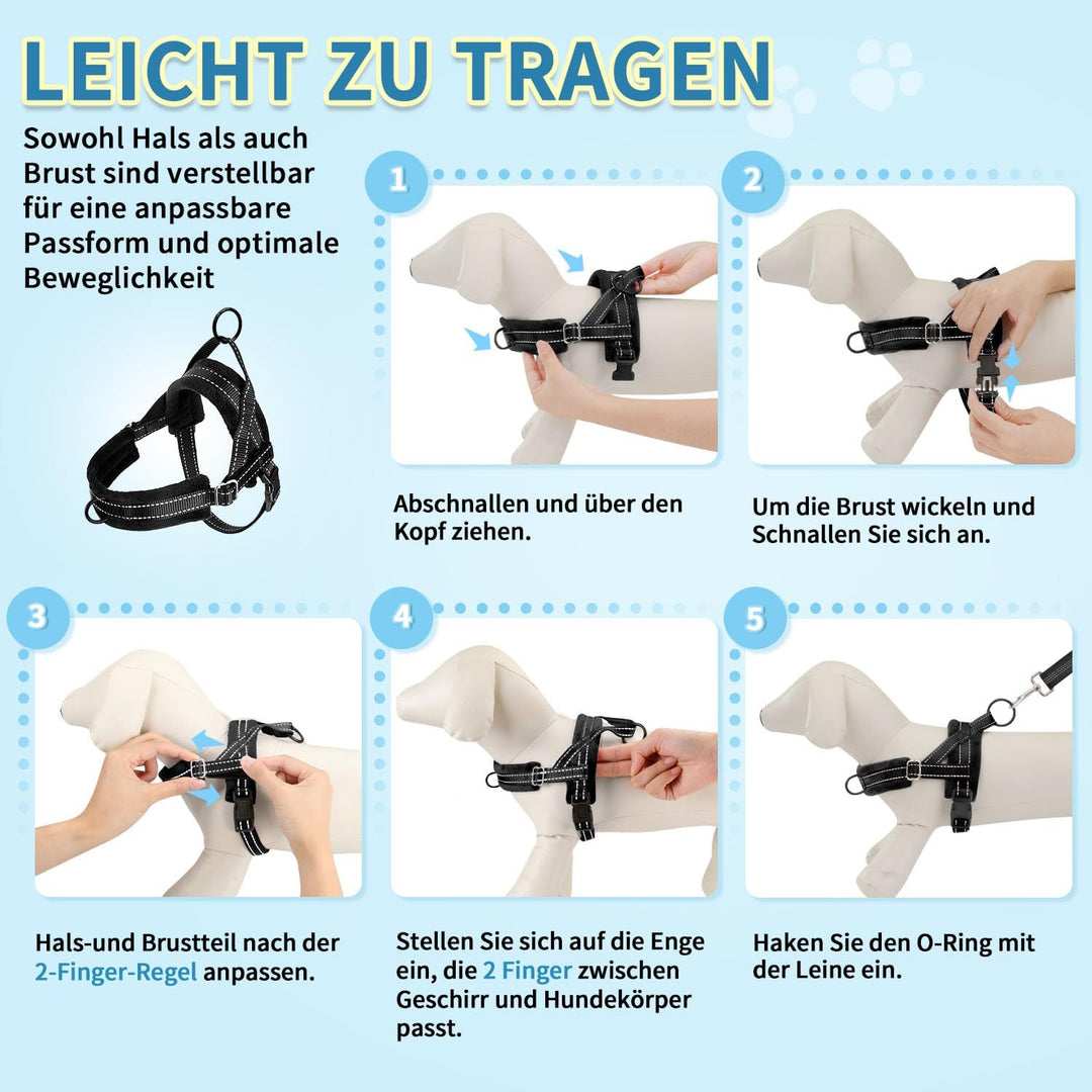 Hundegeschirr mit Leine für mittelgrosse Kleine Hunde, Weich gepolsterter No-Pull Brustgeschirr mit