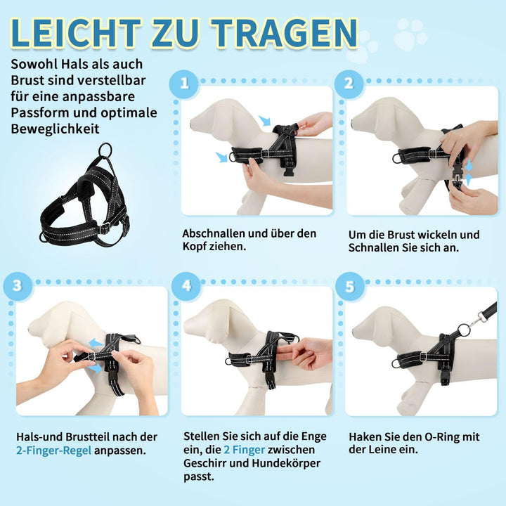 Hundegeschirr mit Leine für mittelgrosse Kleine Hunde, Weich gepolsterter No-Pull Brustgeschirr mit