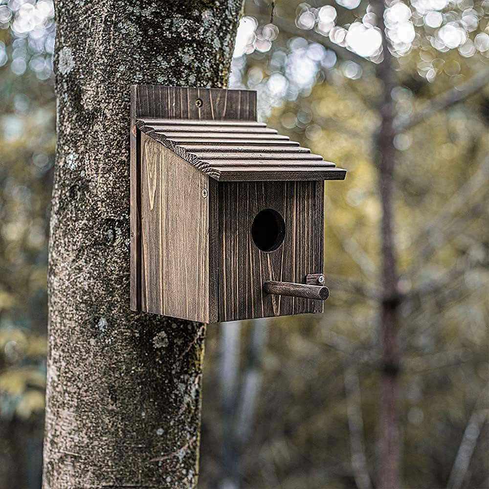 Vogelhaus aus Holz für draussen mit Stange für Finken, Bluebird, Kardinäle, hängendes Vogelhaus, Gar